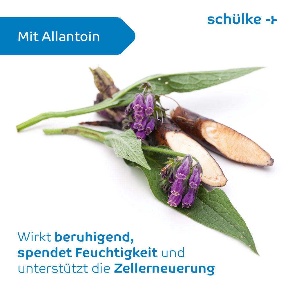 Ein Bild von Beinwellpflanzenteilen, darunter Blätter, Wurzeln und violette Blüten, vor einem weißen Hintergrund. Der Text ist auf Deutsch und besagt, dass die Schülke Esemtan® Waschlotion von Schülke & Mayr GmbH Allantoin enthält und beruhigende, feuchtigkeitsspendende Wirkungen für die tägliche Anwendung bietet und die Zellerneuerung unterstützt.